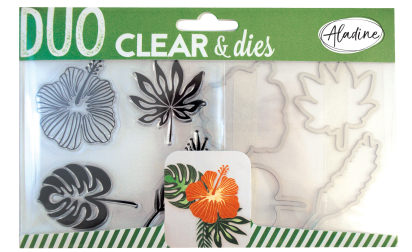 image de Duo clear & dies - tropical