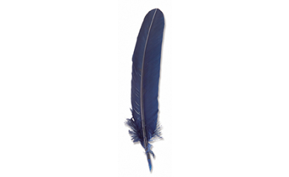 Blue goose feather