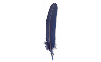 Calligraphie enfant plume bleue