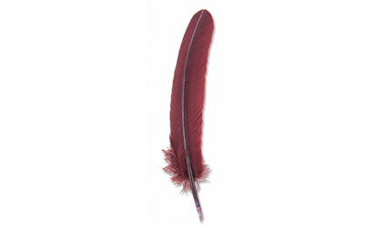 Burgundy goose feather