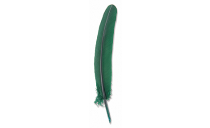 Green goose feather
