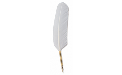 Tube quill goose feather white image