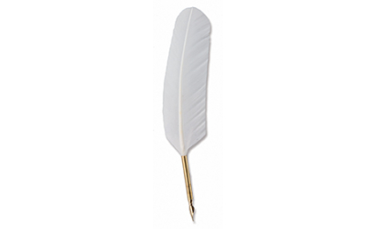 Plume d'oie tube Blanc