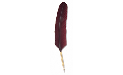 Tube quill goose feather burgundy image