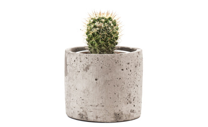 Concrete cactus pot image