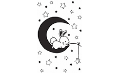 image de Tampon bois - Lapin sur la Lune