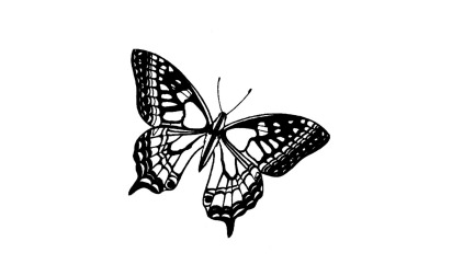 Tampons bois - papillon détaillé