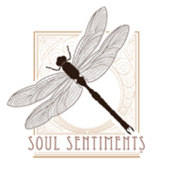 SOUL SENTIMENTS LLC